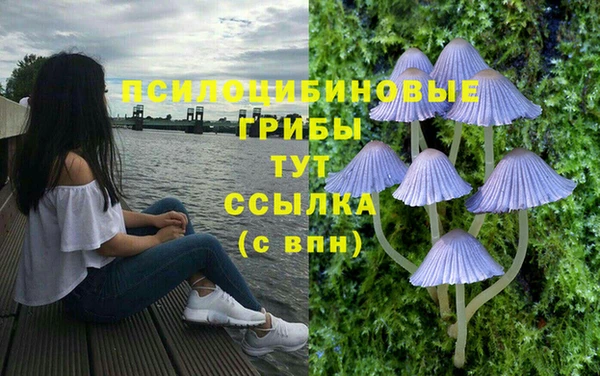СК Арсеньев