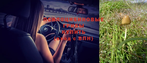 спиды Армянск