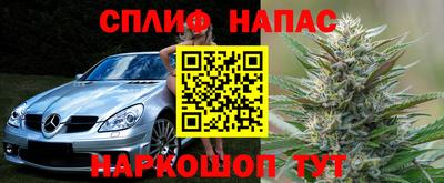PSILOCYBIN Шелехов