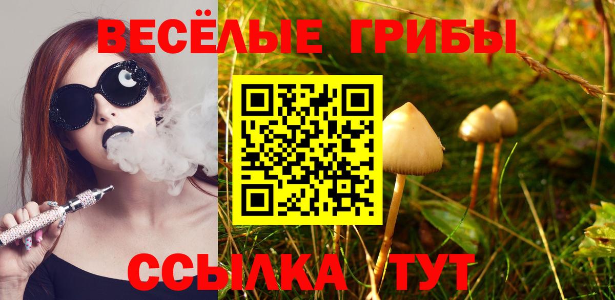Ахтубинск  Галлюциногенные грибы MAGIC MUSHROOMS  Псилоцибиновые грибы мухоморы  Вход с VPN 